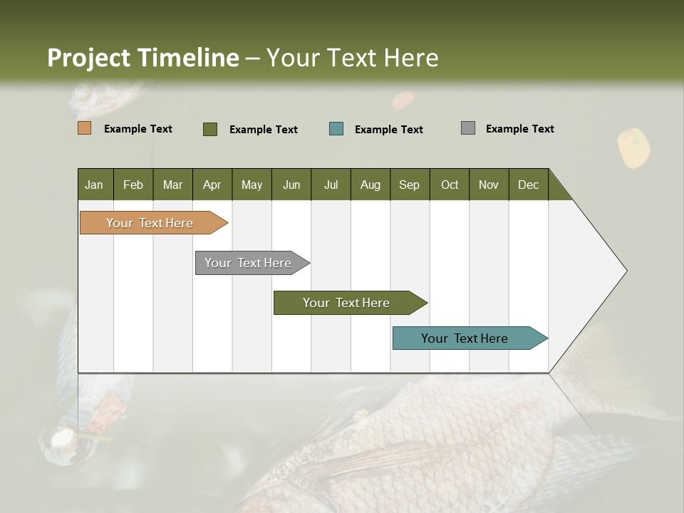 A Group Of Fish Floating On Top Of A Body Of Water PowerPoint Template