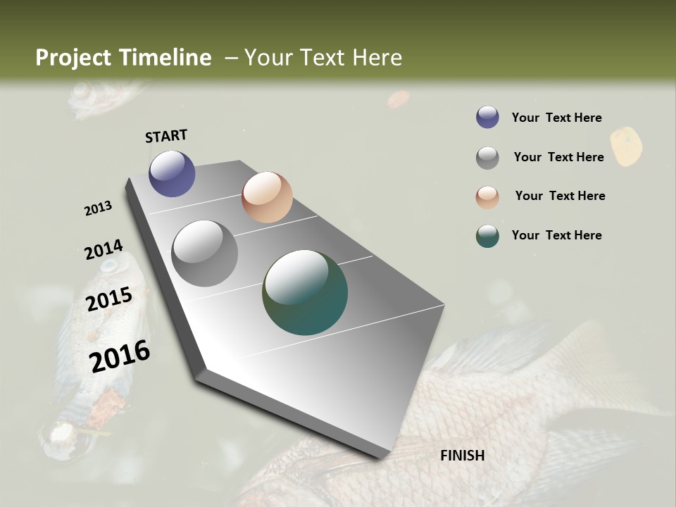 A Group Of Fish Floating On Top Of A Body Of Water PowerPoint Template