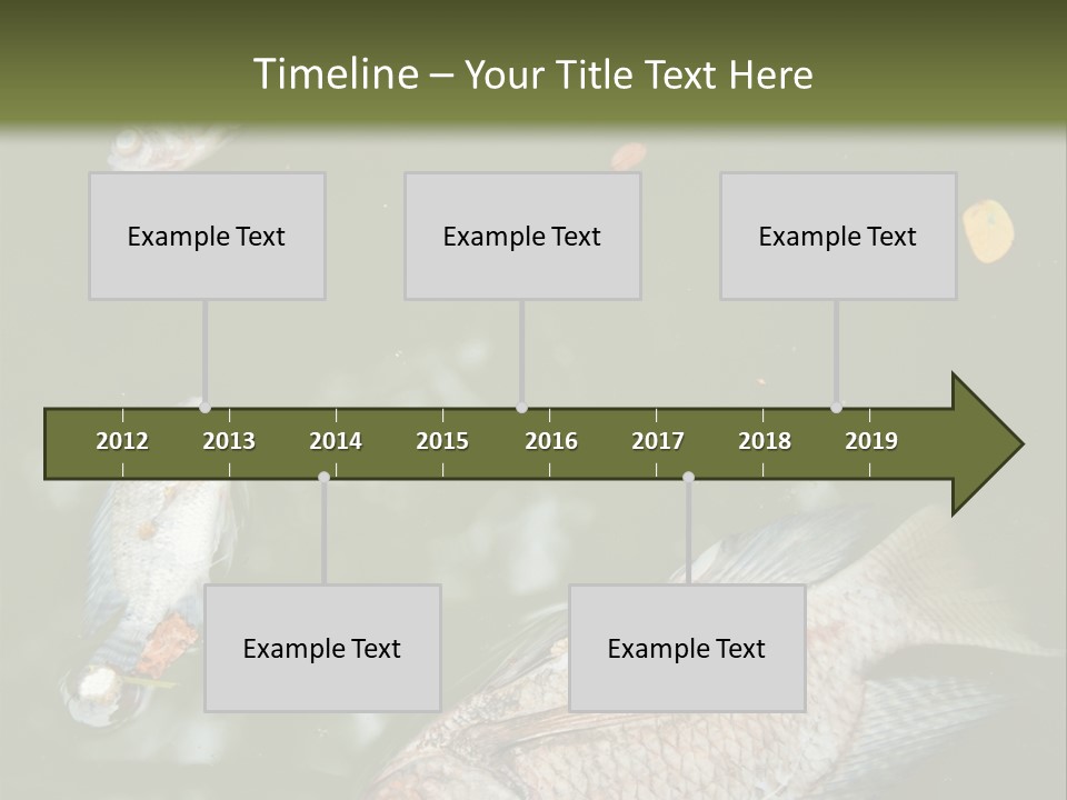 A Group Of Fish Floating On Top Of A Body Of Water PowerPoint Template