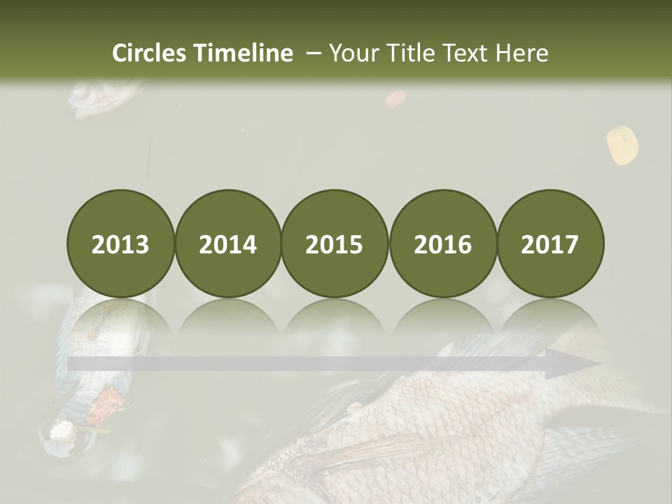 A Group Of Fish Floating On Top Of A Body Of Water PowerPoint Template