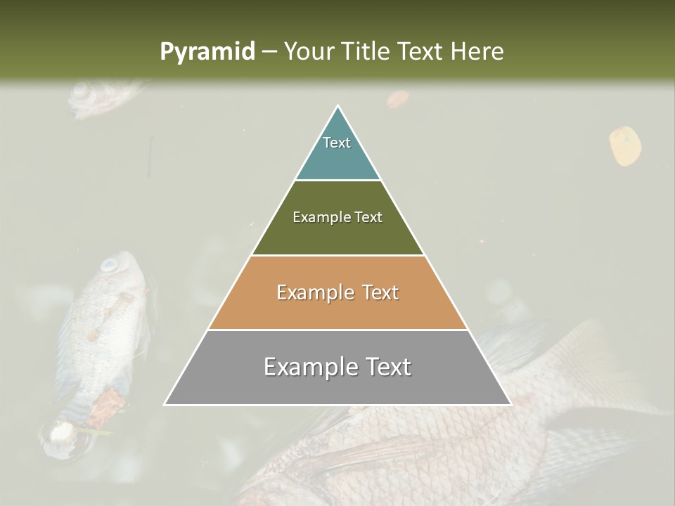 A Group Of Fish Floating On Top Of A Body Of Water PowerPoint Template