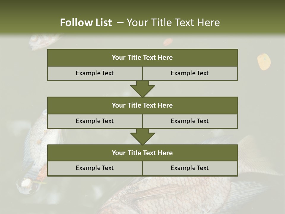 A Group Of Fish Floating On Top Of A Body Of Water PowerPoint Template