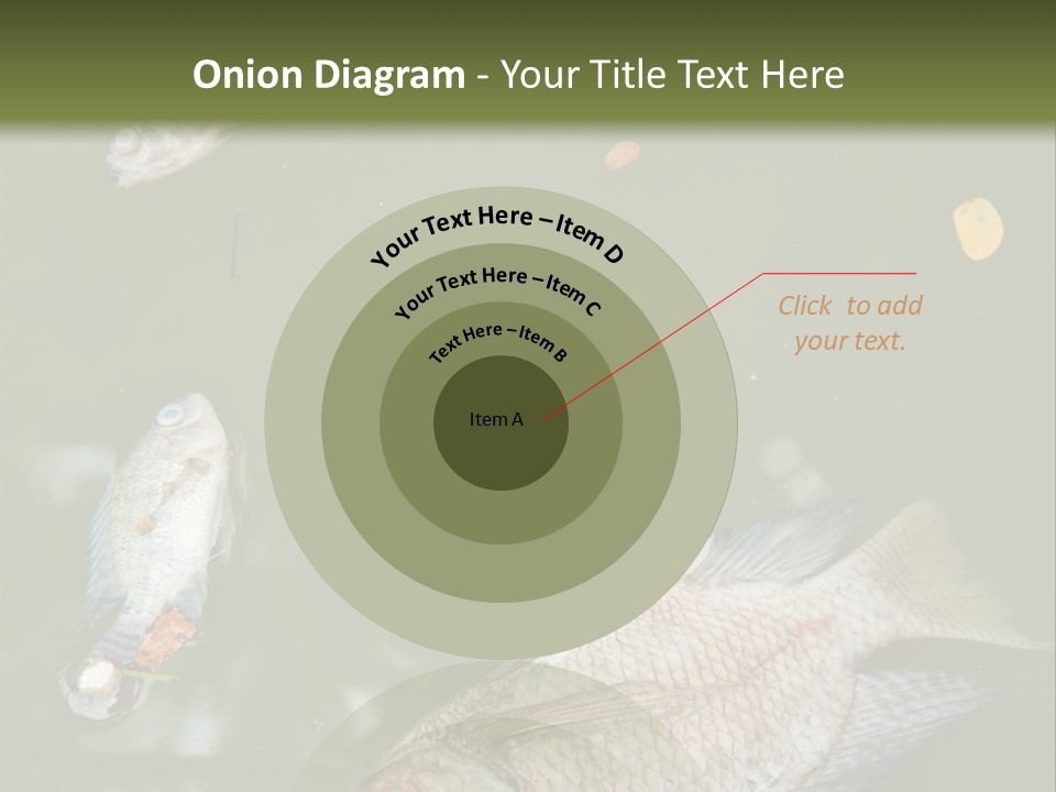 A Group Of Fish Floating On Top Of A Body Of Water PowerPoint Template