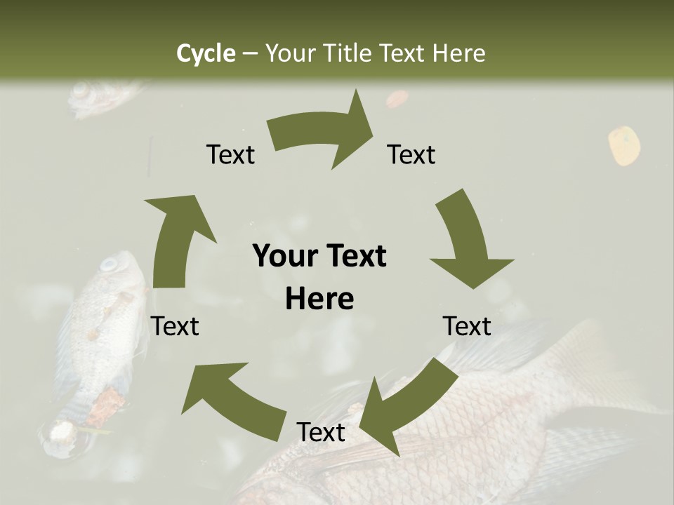 A Group Of Fish Floating On Top Of A Body Of Water PowerPoint Template