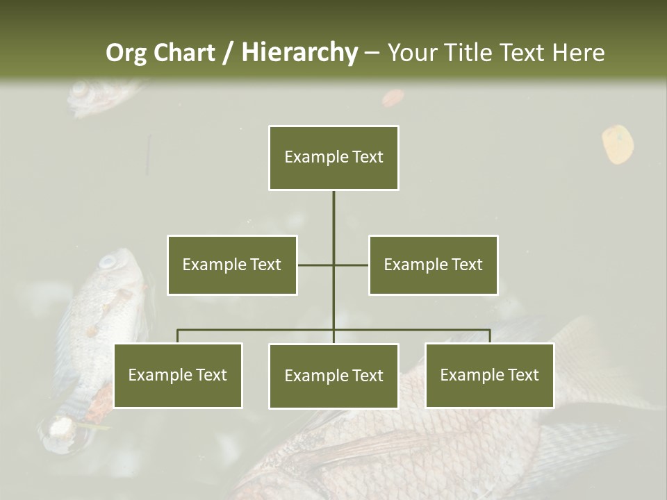 A Group Of Fish Floating On Top Of A Body Of Water PowerPoint Template