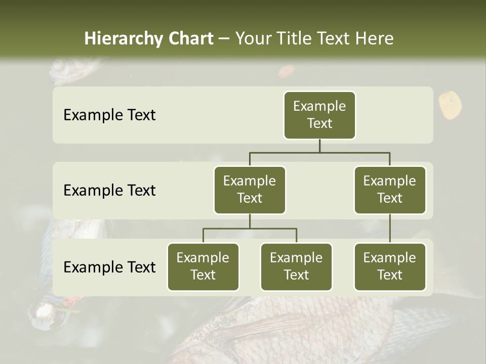 A Group Of Fish Floating On Top Of A Body Of Water PowerPoint Template