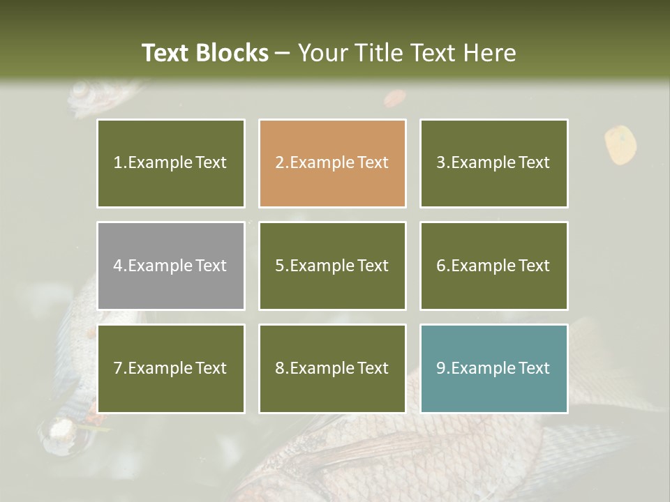 A Group Of Fish Floating On Top Of A Body Of Water PowerPoint Template