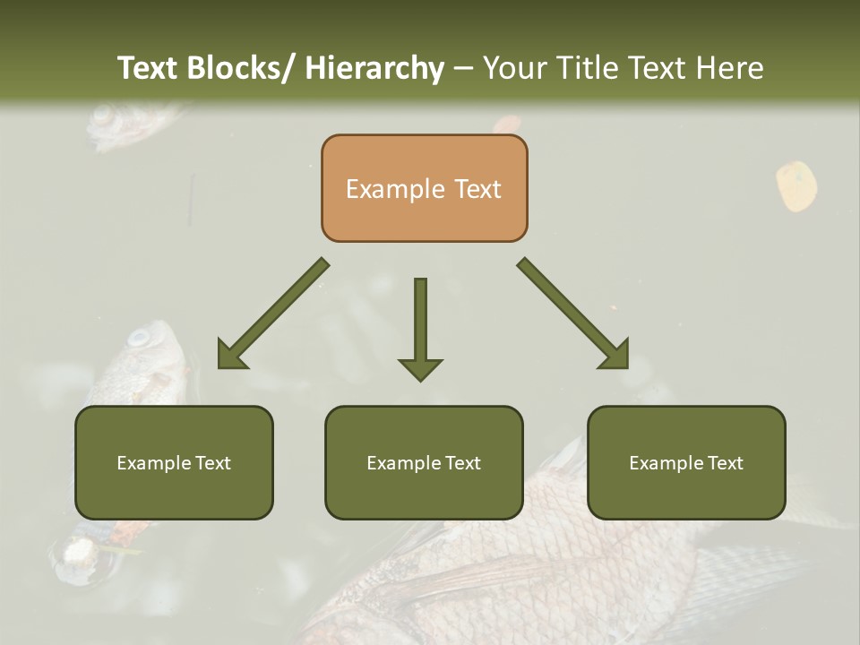 A Group Of Fish Floating On Top Of A Body Of Water PowerPoint Template