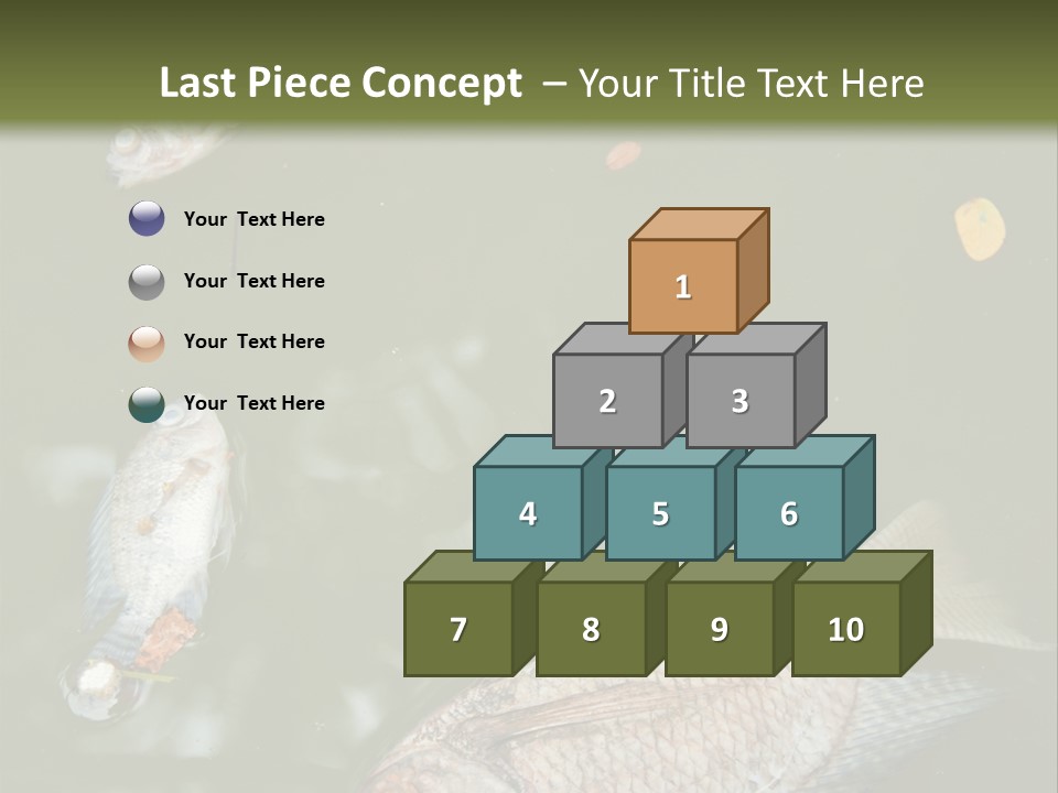 A Group Of Fish Floating On Top Of A Body Of Water PowerPoint Template