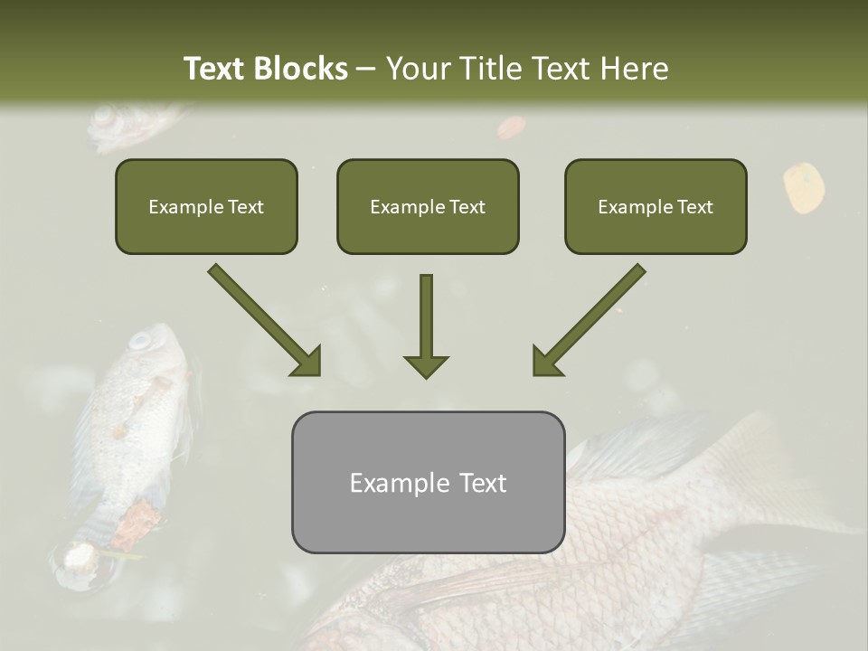 A Group Of Fish Floating On Top Of A Body Of Water PowerPoint Template