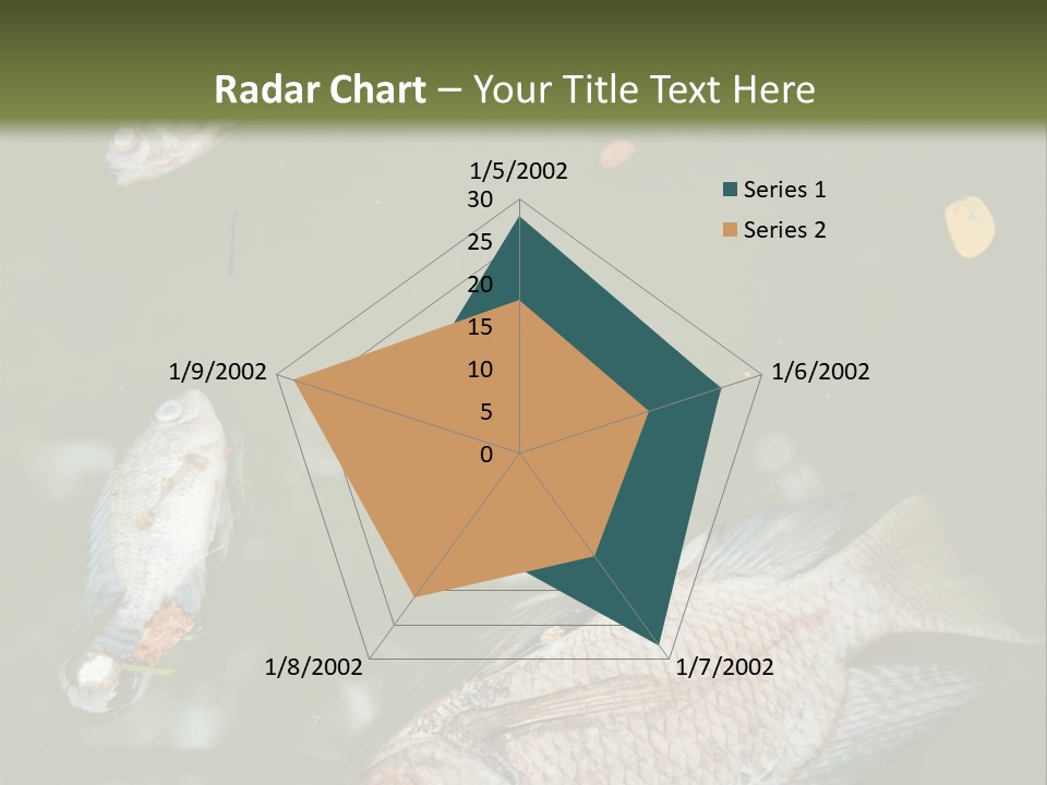 A Group Of Fish Floating On Top Of A Body Of Water PowerPoint Template