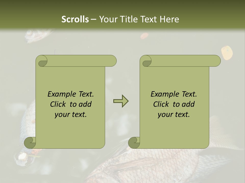 A Group Of Fish Floating On Top Of A Body Of Water PowerPoint Template