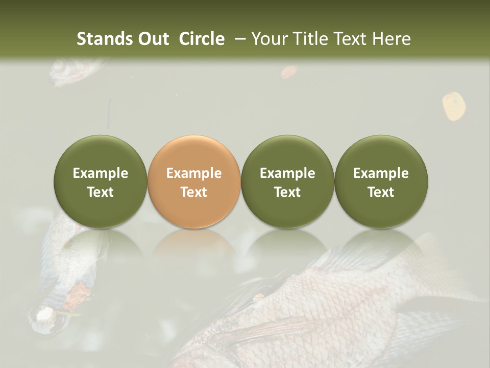 A Group Of Fish Floating On Top Of A Body Of Water PowerPoint Template