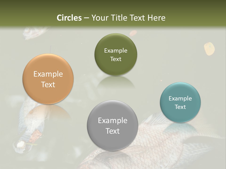 A Group Of Fish Floating On Top Of A Body Of Water PowerPoint Template