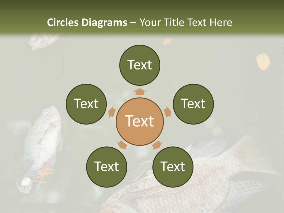 A Group Of Fish Floating On Top Of A Body Of Water PowerPoint Template