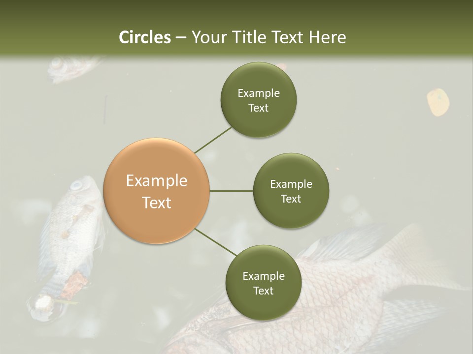 A Group Of Fish Floating On Top Of A Body Of Water PowerPoint Template