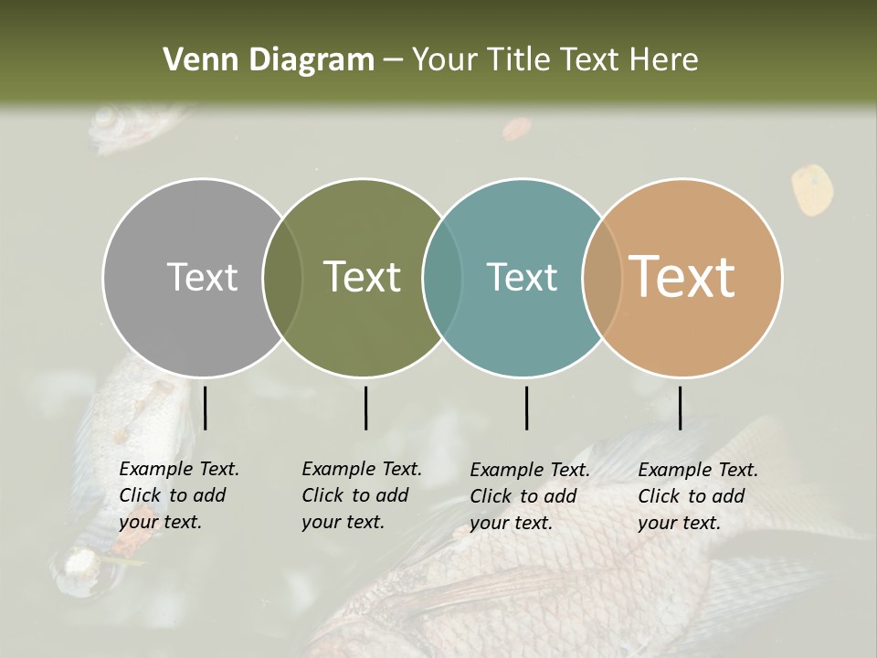 A Group Of Fish Floating On Top Of A Body Of Water PowerPoint Template