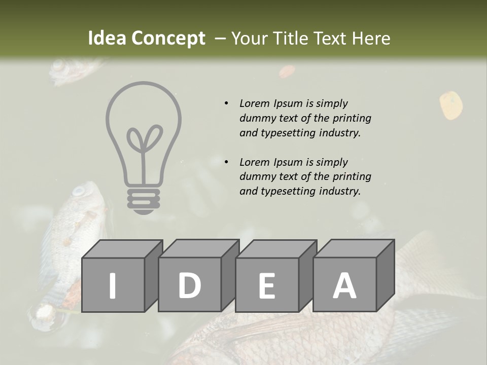 A Group Of Fish Floating On Top Of A Body Of Water PowerPoint Template