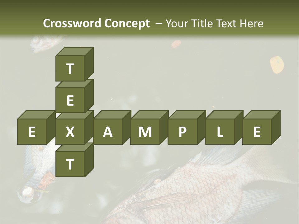 A Group Of Fish Floating On Top Of A Body Of Water PowerPoint Template