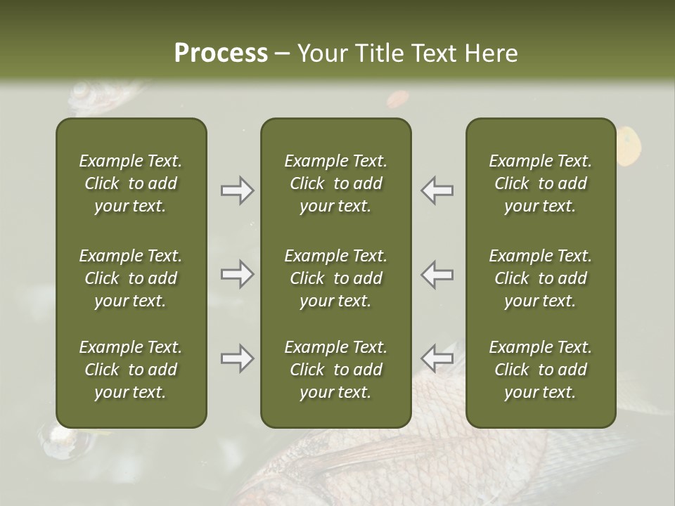 A Group Of Fish Floating On Top Of A Body Of Water PowerPoint Template