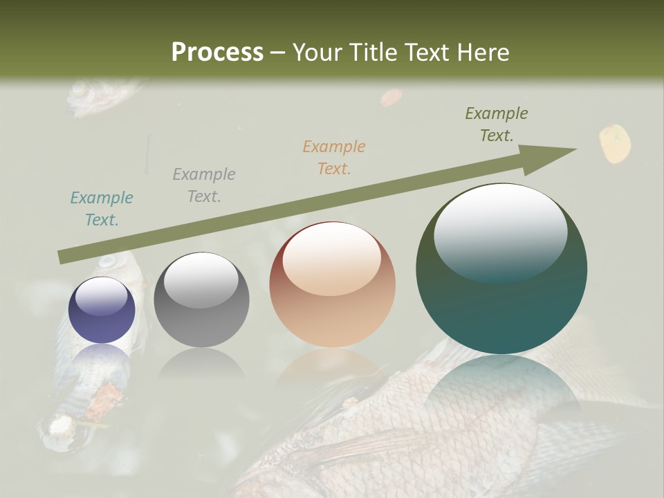A Group Of Fish Floating On Top Of A Body Of Water PowerPoint Template