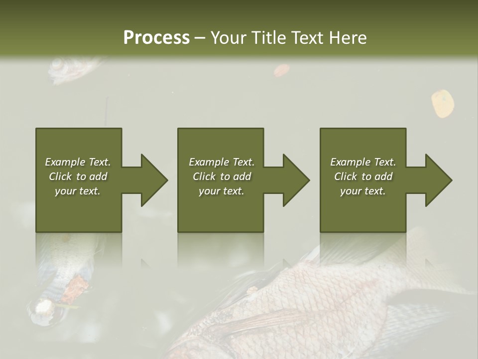 A Group Of Fish Floating On Top Of A Body Of Water PowerPoint Template