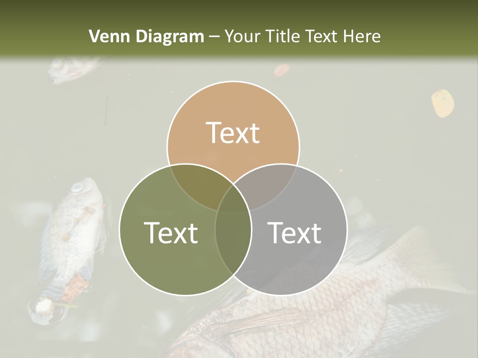 A Group Of Fish Floating On Top Of A Body Of Water PowerPoint Template