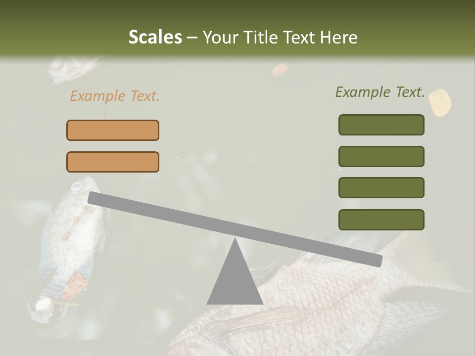 A Group Of Fish Floating On Top Of A Body Of Water PowerPoint Template