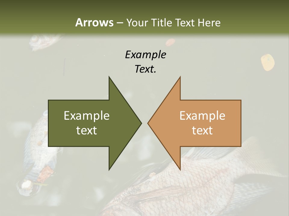 A Group Of Fish Floating On Top Of A Body Of Water PowerPoint Template