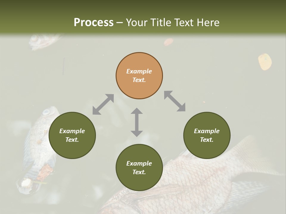 A Group Of Fish Floating On Top Of A Body Of Water PowerPoint Template