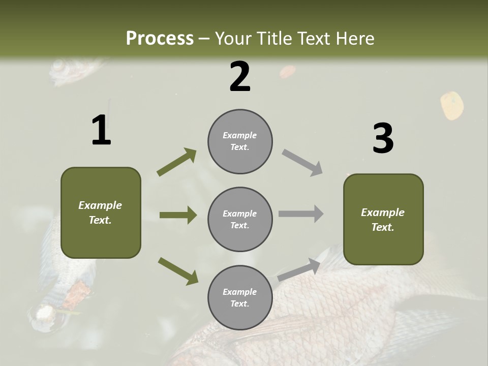 A Group Of Fish Floating On Top Of A Body Of Water PowerPoint Template