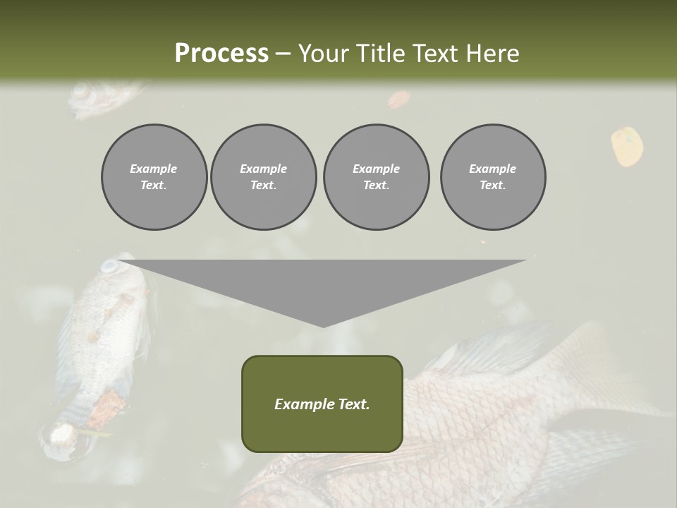 A Group Of Fish Floating On Top Of A Body Of Water PowerPoint Template