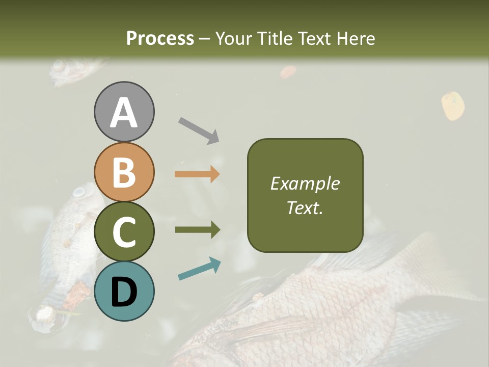 A Group Of Fish Floating On Top Of A Body Of Water PowerPoint Template