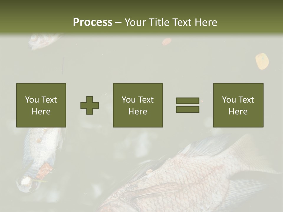 A Group Of Fish Floating On Top Of A Body Of Water PowerPoint Template