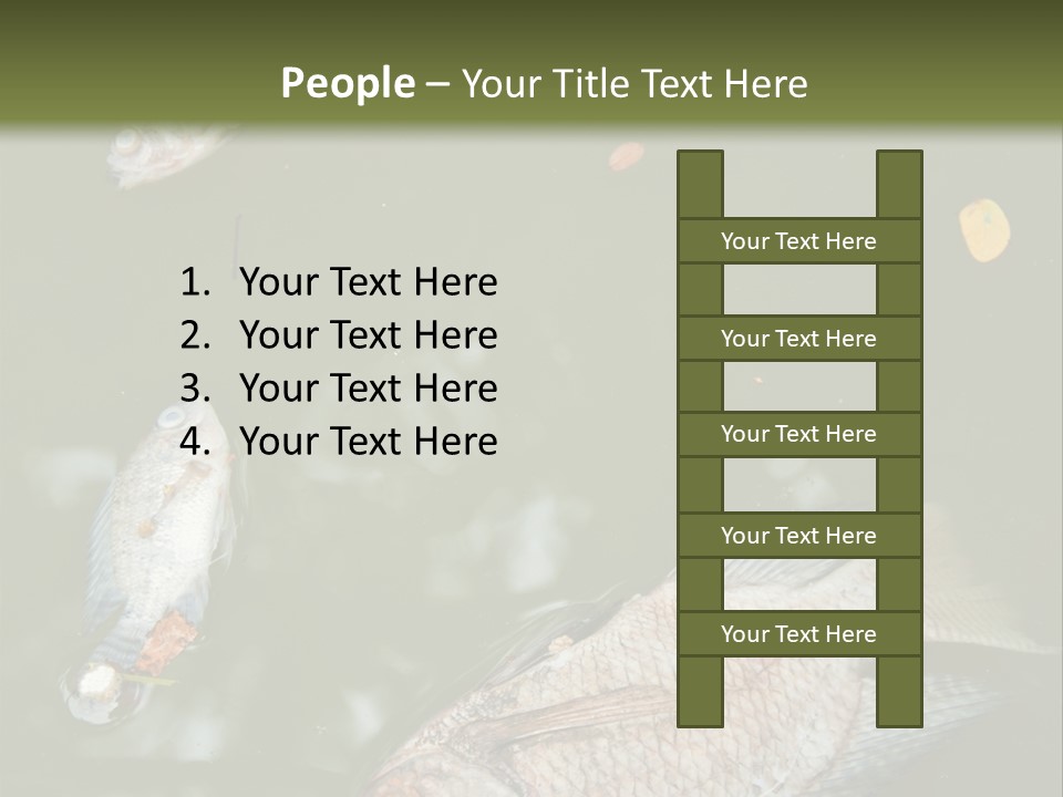 A Group Of Fish Floating On Top Of A Body Of Water PowerPoint Template