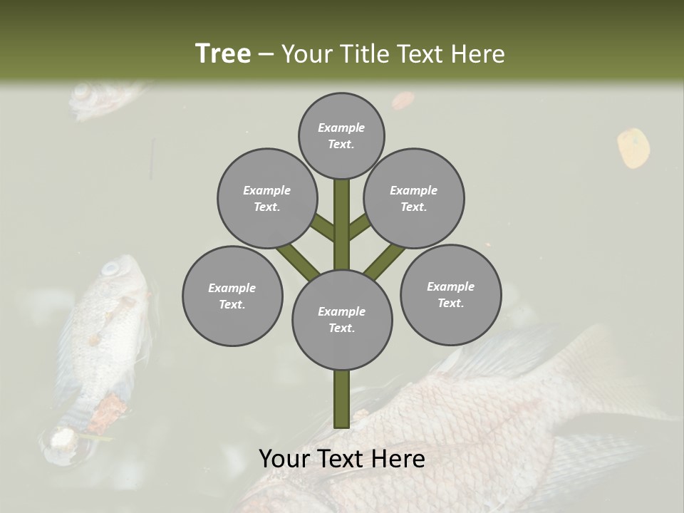 A Group Of Fish Floating On Top Of A Body Of Water PowerPoint Template