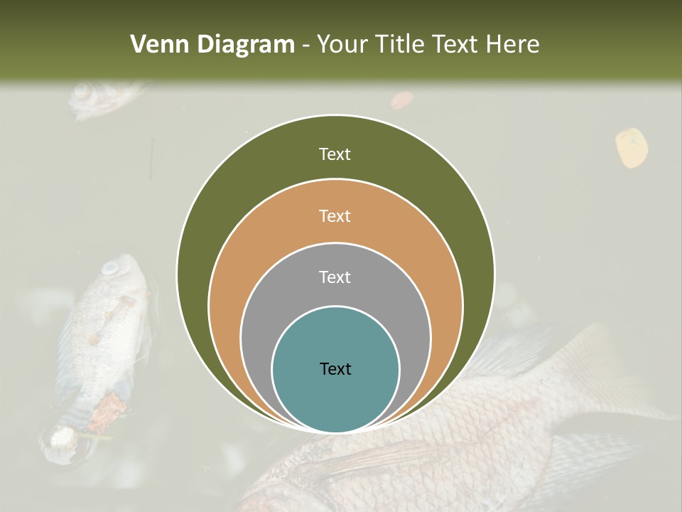 A Group Of Fish Floating On Top Of A Body Of Water PowerPoint Template