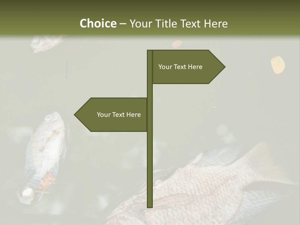 A Group Of Fish Floating On Top Of A Body Of Water PowerPoint Template