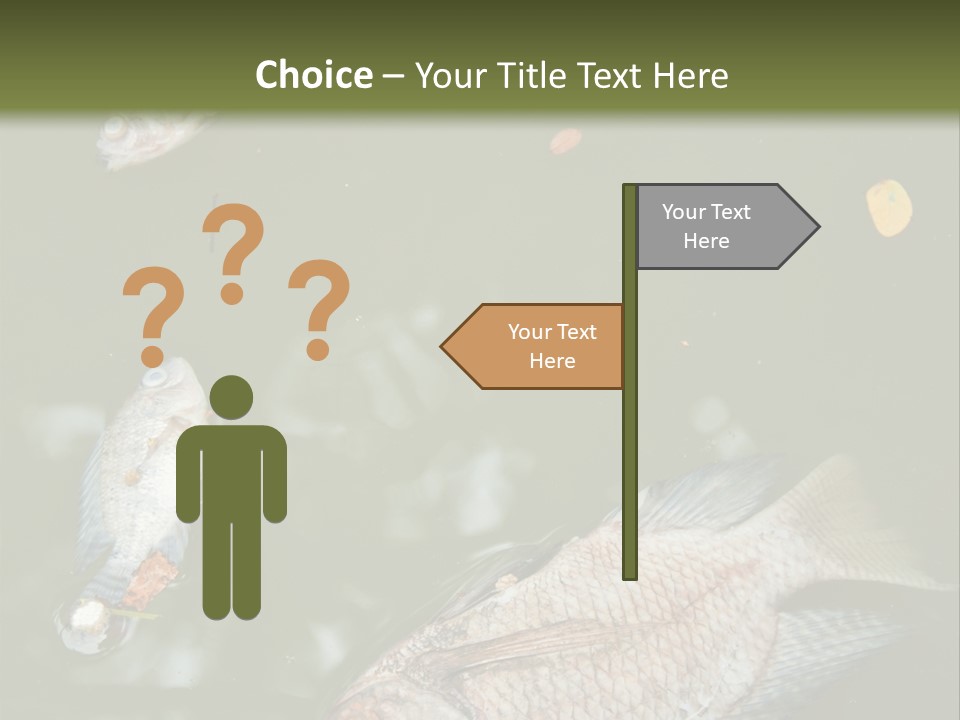 A Group Of Fish Floating On Top Of A Body Of Water PowerPoint Template