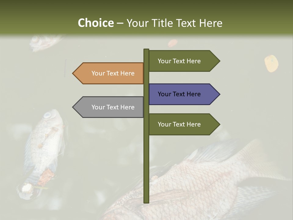 A Group Of Fish Floating On Top Of A Body Of Water PowerPoint Template