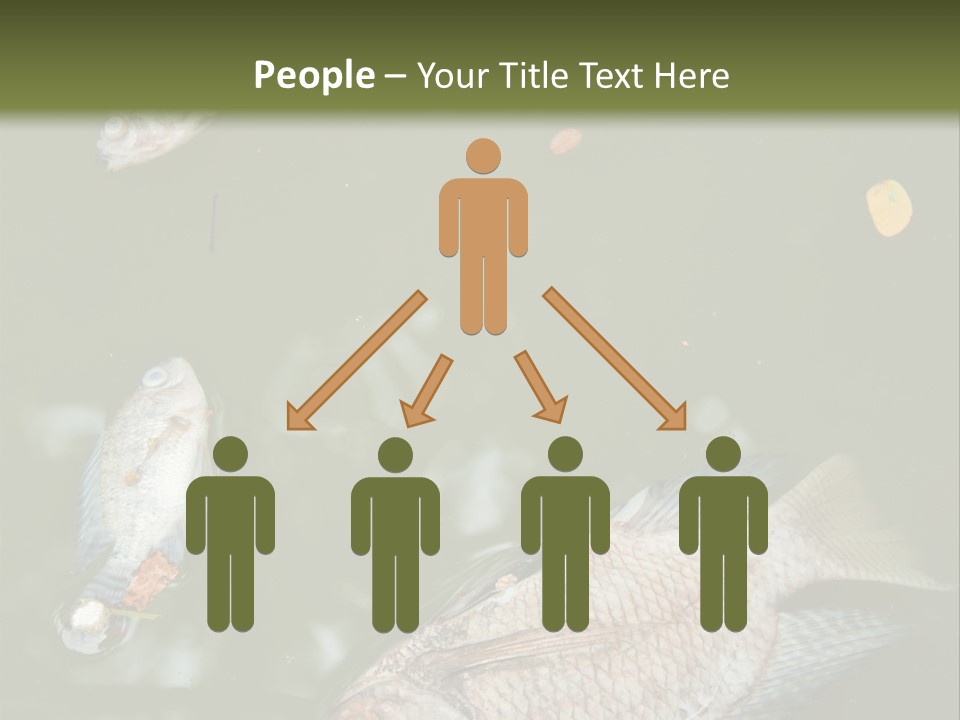 A Group Of Fish Floating On Top Of A Body Of Water PowerPoint Template