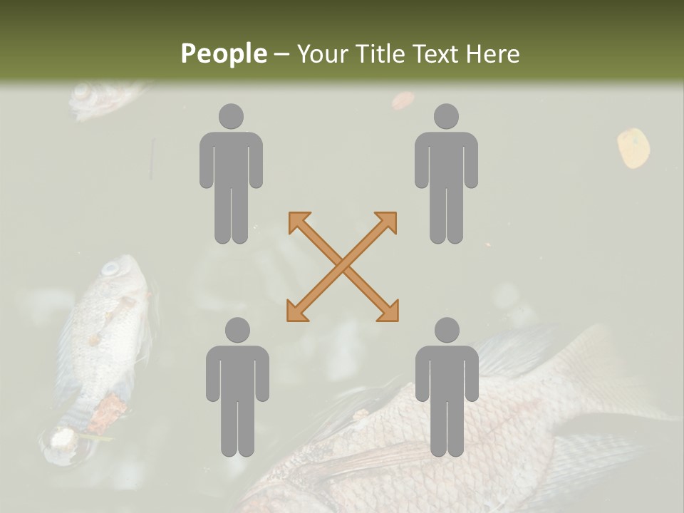 A Group Of Fish Floating On Top Of A Body Of Water PowerPoint Template