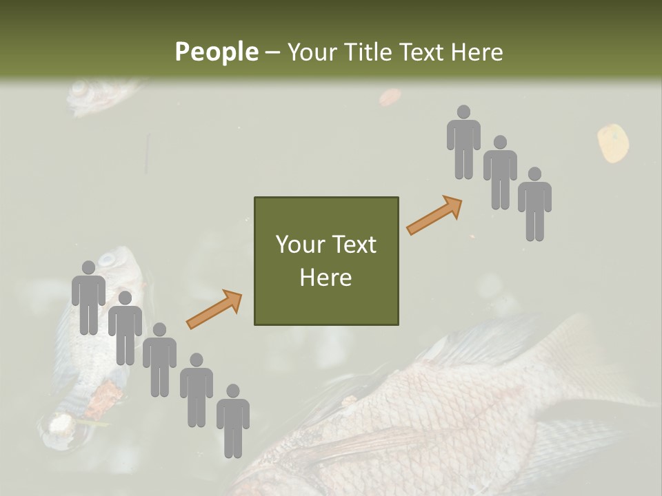 A Group Of Fish Floating On Top Of A Body Of Water PowerPoint Template
