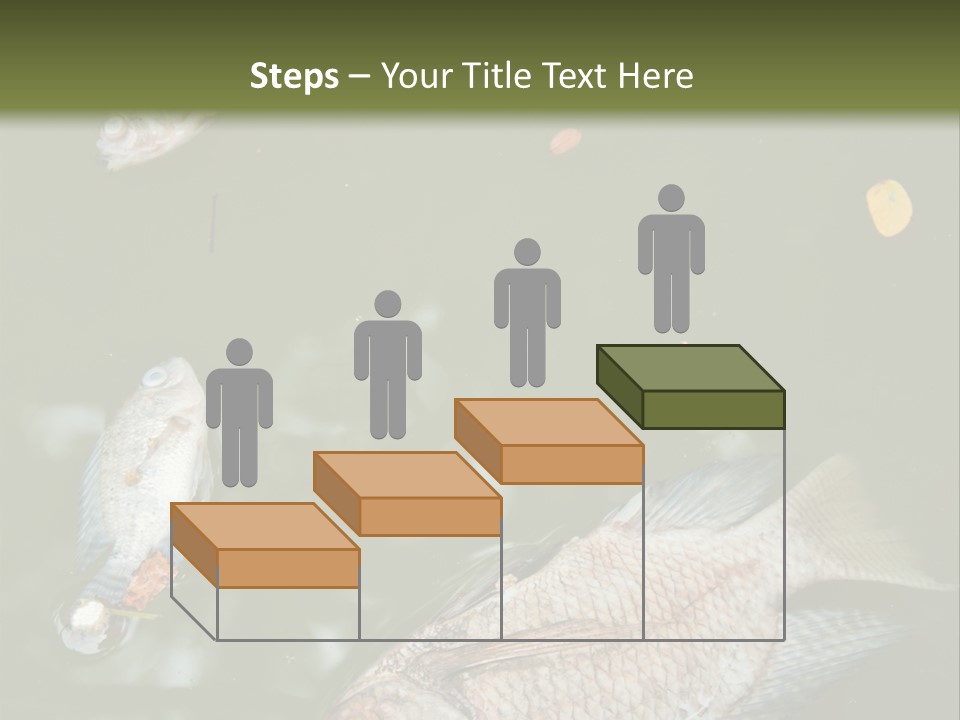 A Group Of Fish Floating On Top Of A Body Of Water PowerPoint Template