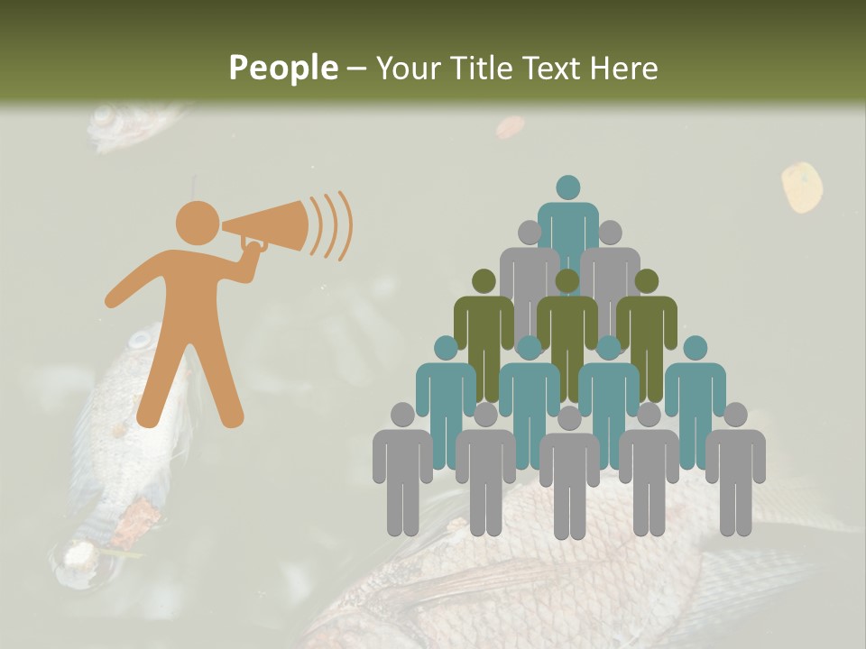 A Group Of Fish Floating On Top Of A Body Of Water PowerPoint Template