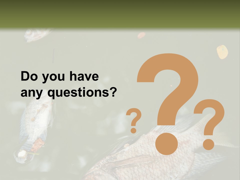 A Group Of Fish Floating On Top Of A Body Of Water PowerPoint Template