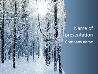 A Snowy Forest Powerpoint Presentation PowerPoint Template