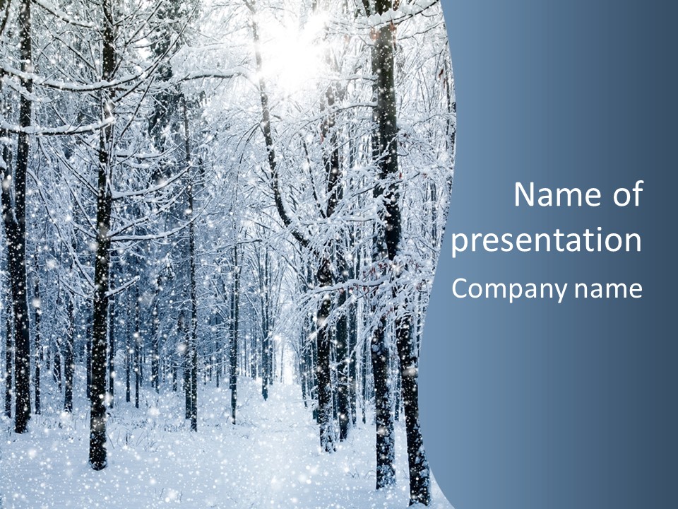 A Snowy Forest Powerpoint Presentation PowerPoint Template