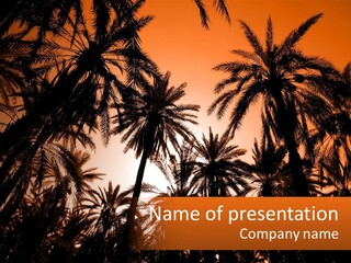 A Group Of Palm Trees With The Sun In The Background PowerPoint Template