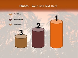 A Group Of Palm Trees With The Sun In The Background PowerPoint Template